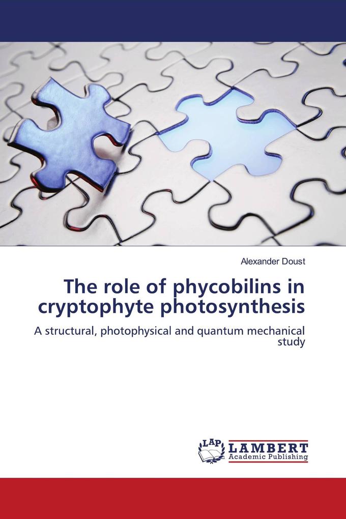 The role of phycobilins in cryptophyte photosynthesis