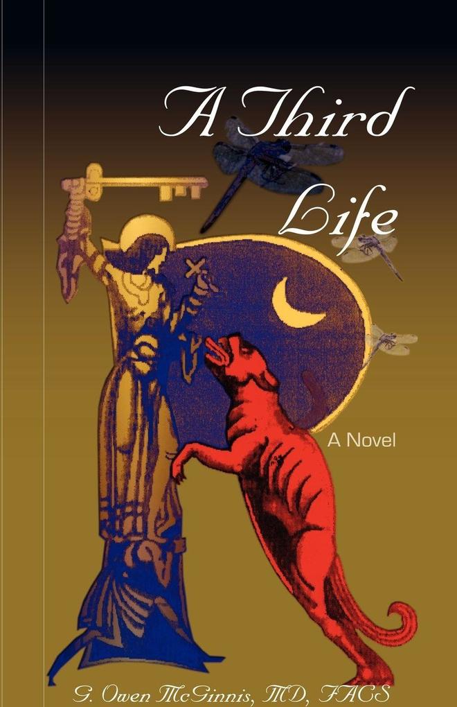 A Third Life a Novel