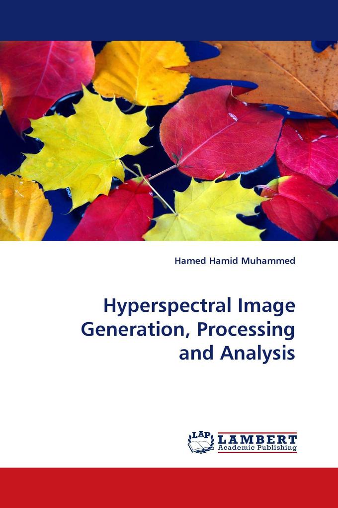 Hyperspectral Image Generation Processing and Analysis