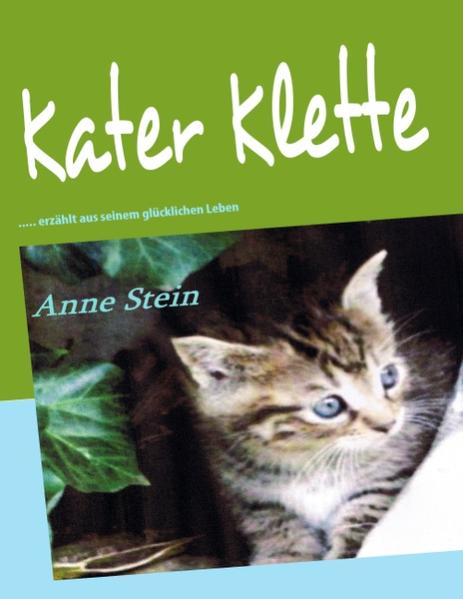 Kater Klette - Anne Stein