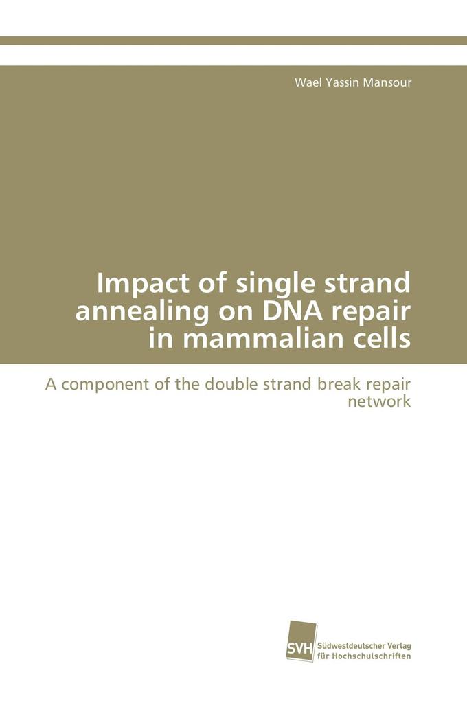 Impact of single strand annealing on DNA repair in mammalian cells