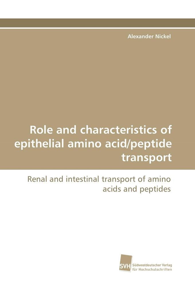Role and characteristics of epithelial amino acid/peptide transport