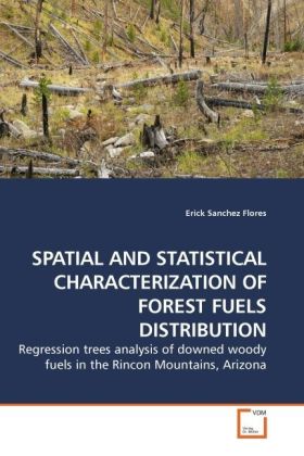 SPATIAL AND STATISTICAL CHARACTERIZATION OF FOREST FUELS DISTRIBUTION - Erick Sanchez Flores