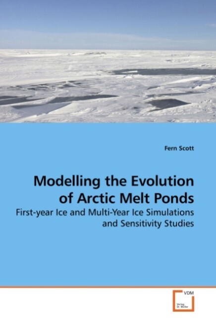 Modelling the Evolution of Arctic Melt Ponds - Fern Scott