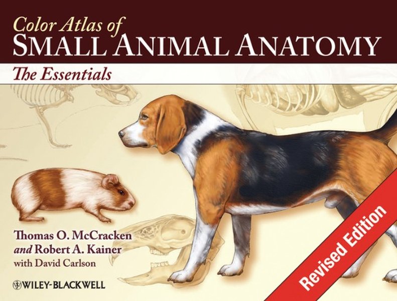 Color Atlas of Small Animal Anatomy: The Essentials - Robert A. Kainer/ Thomas O. McCracken/ David Carlson