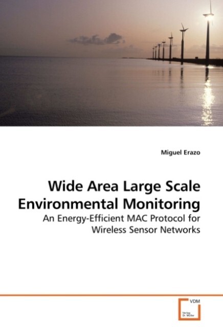 Wide Area Large Scale Environmental Monitoring