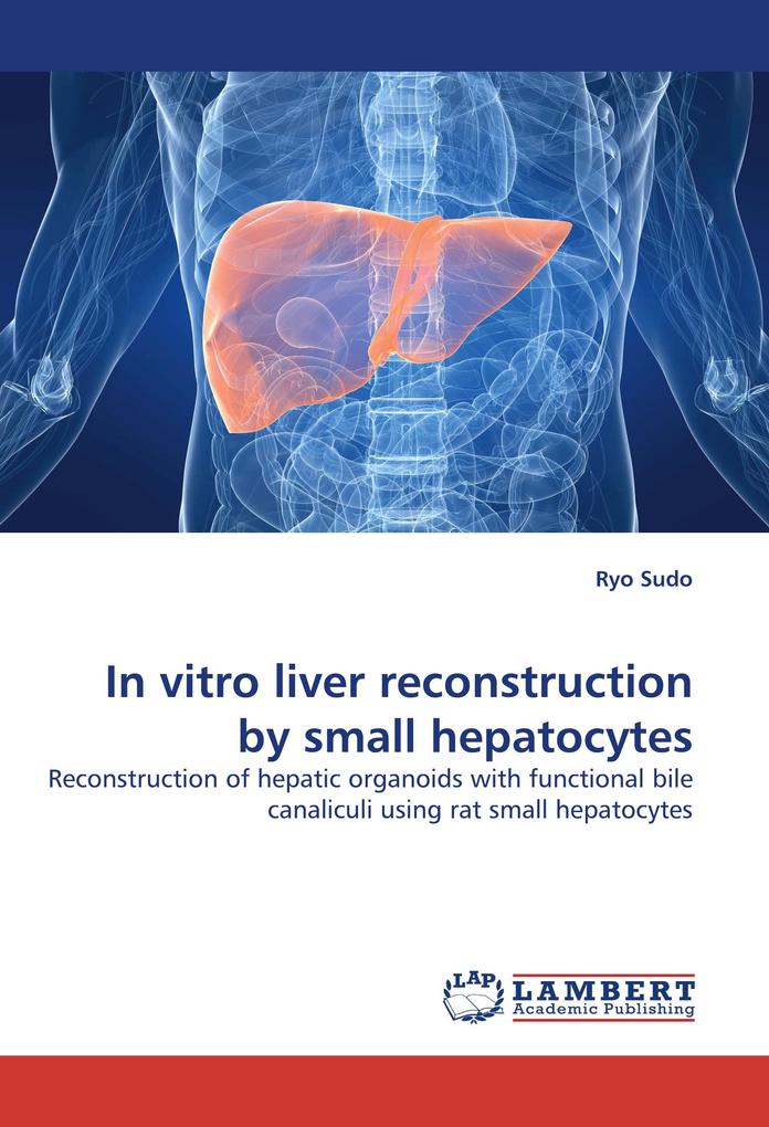 In vitro liver reconstruction by small hepatocytes