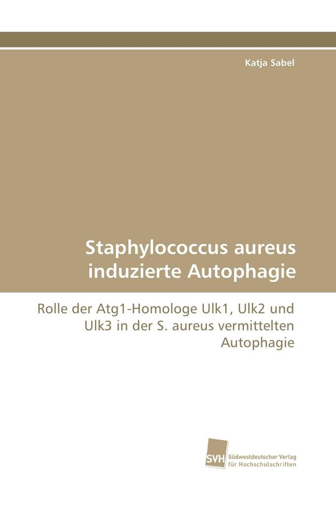 Staphylococcus aureus induzierte Autophagie