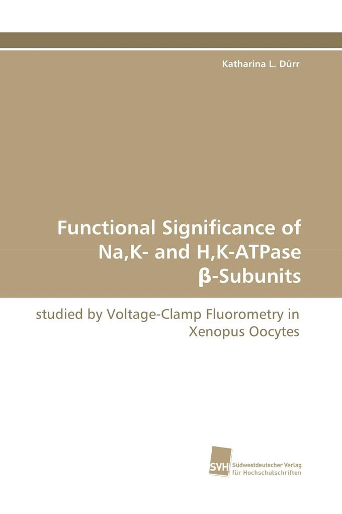Functional Significance of NaK- and HK-ATPase -Subunits
