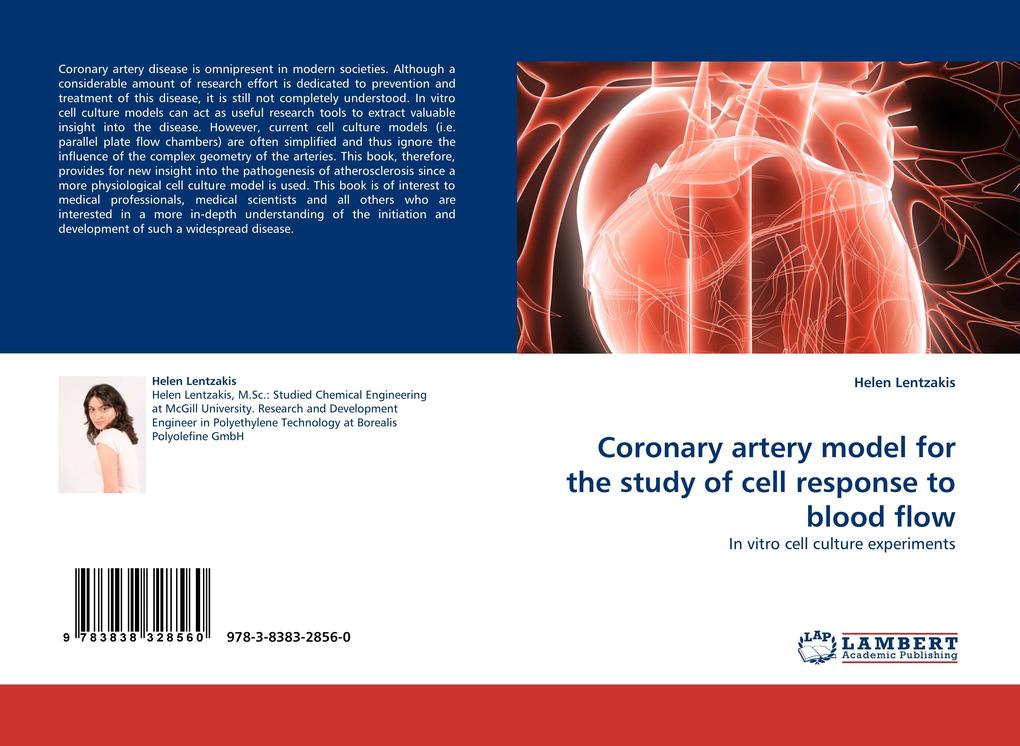 Coronary artery model for the study of cell response to blood flow