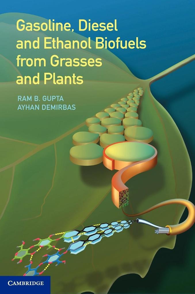 Gasoline Diesel and Ethanol Biofuels from Grasses and Plants