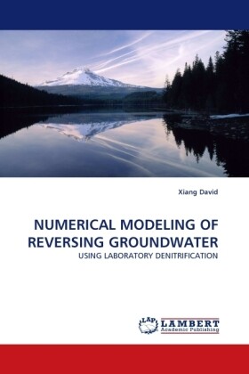 NUMERICAL MODELING OF REVERSING GROUNDWATER
