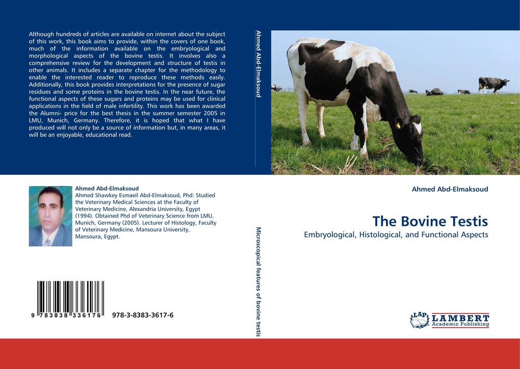 The Bovine Testis