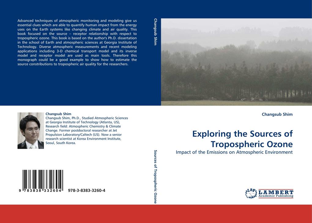 Exploring the Sources of Tropospheric Ozone