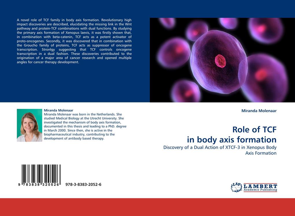Role of TCF in body axis formation