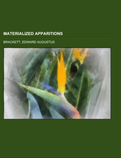 Materialized Apparitions; if not beings from another life what are they
