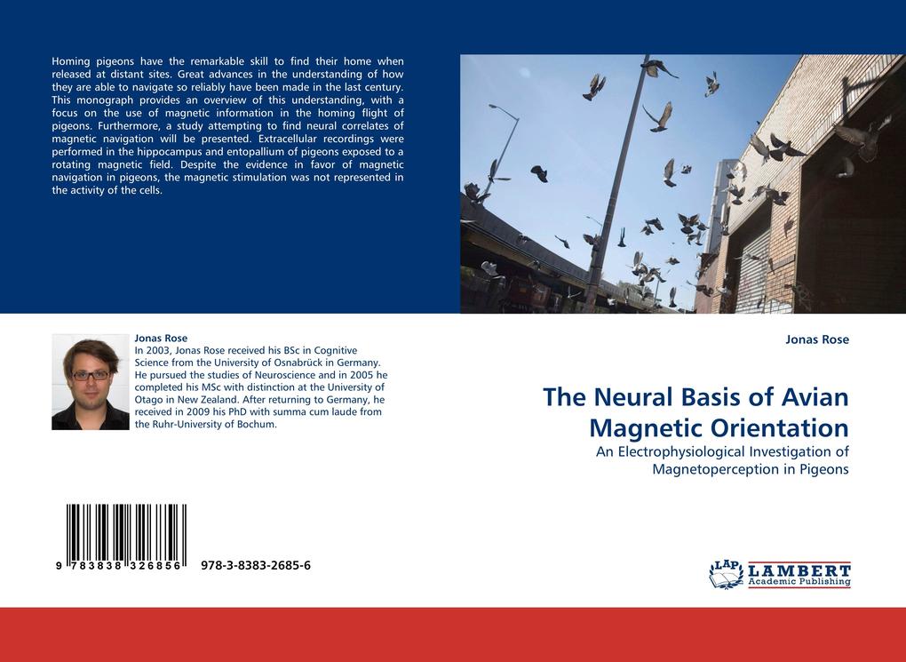 The Neural Basis of Avian Magnetic Orientation