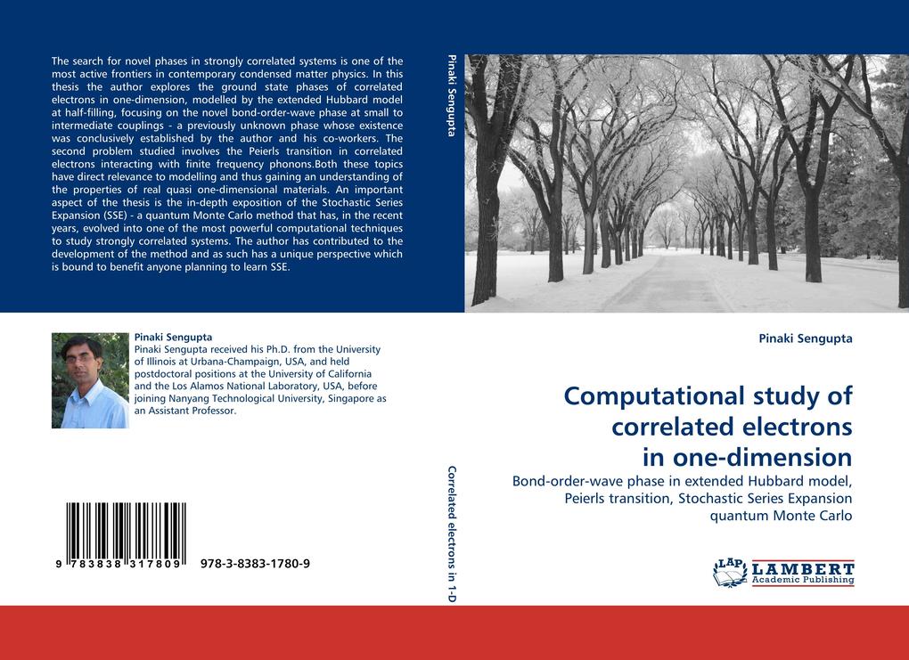 Computational study of correlated electrons in one-dimension